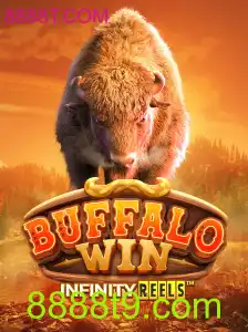 Desvendando o Mundo de BuffaloWin: Um Guia Completo